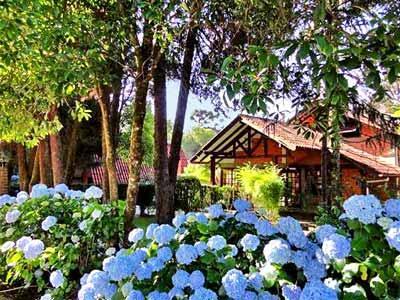 Jardim De Flores 3*